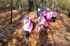 IMG_20251105_094013813_HDR