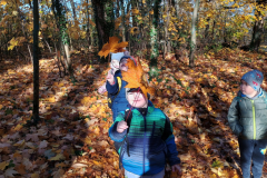 IMG_20251105_094030892_HDR