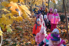 IMG_20251105_094352849_HDR