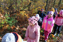 IMG_20251105_094448063