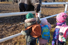 IMG_20251105_094600474_HDR