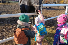 IMG_20251105_094601819_HDR