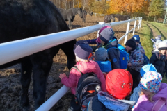 IMG_20251105_094743228_HDR