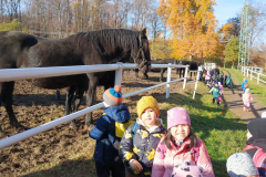 IMG_20251105_094743624