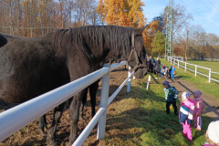 IMG_20251105_094802135