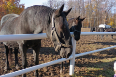 IMG_20251105_094814602