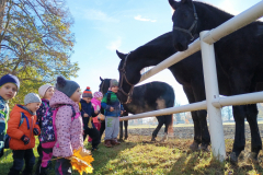 IMG_20251105_094858489