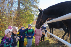 IMG_20251105_094923558