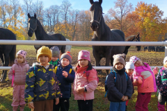 IMG_20251105_095155265