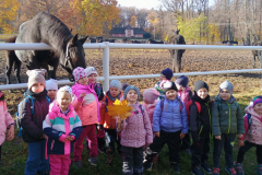 IMG_20251105_095220713