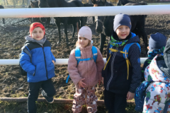 IMG_20251105_095241775_HDR