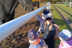 IMG_20251105_095257635_HDR