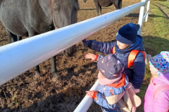 IMG_20251105_095310171_HDR