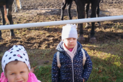 IMG_20251105_095419659