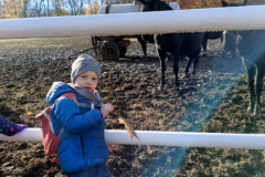 IMG_20251105_095420142_BURST000_COVER