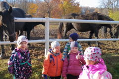 IMG_20251105_095439169