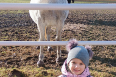 IMG_20251105_095914771