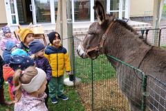 IMG_20251010_092949975 IMG_20251010_092949975