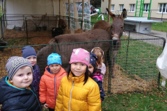 IMG_20251010_093046037 IMG_20251010_093046037