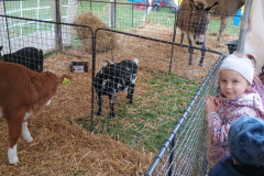 IMG_20251010_093241556 IMG_20251010_093241556