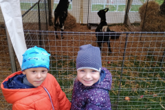 IMG_20251010_093432012 IMG_20251010_093432012