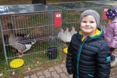 IMG_20251010_093633779 IMG_20251010_093633779