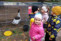 IMG_20251010_093659881 IMG_20251010_093659881