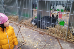 IMG_20251010_093810458 IMG_20251010_093810458