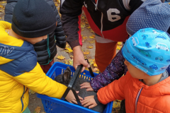 IMG_20251010_094059936 IMG_20251010_094059936