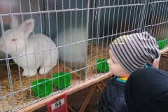 IMG_20251010_094233095 IMG_20251010_094233095