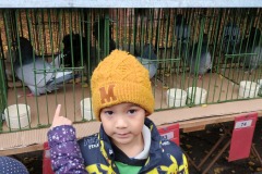 IMG_20251010_094735734_HDR IMG_20251010_094735734_HDR