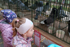 IMG_20251010_094920267_HDR IMG_20251010_094920267_HDR