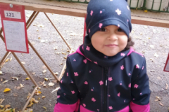 IMG_20251010_095058867 IMG_20251010_095058867