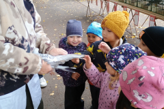 IMG_20251010_095105592 IMG_20251010_095105592