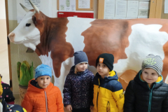 IMG_20251010_095614570 IMG_20251010_095614570