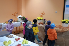 IMG_20251010_100101365 IMG_20251010_100101365