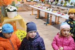 IMG_20251010_100232571 IMG_20251010_100232571