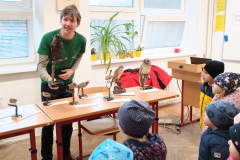 IMG_20251010_100333426 IMG_20251010_100333426