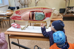 IMG_20251010_101048382 IMG_20251010_101048382