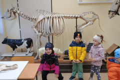 IMG_20251010_101334738 IMG_20251010_101334738